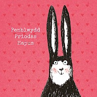 Blush - Penblwydd Priodas