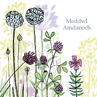 Quiet Garden - Meddwl Amdanoch
