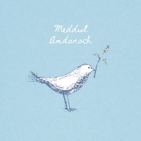 For You - Meddwl Amdanoch