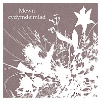Sympathy - Cydymdeimlad
