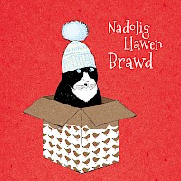 Winter Knits - Brawd