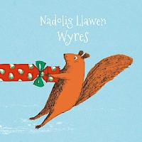 Nut Cracker - Wyres
