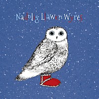 Snowy Owl - Wyres