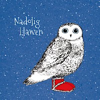 Snowy Owl