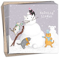 Snowcat (Welsh charity pack)